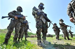 Hàn Quốc, Mỹ thương lượng chia sẻ chi phí quốc phòng 